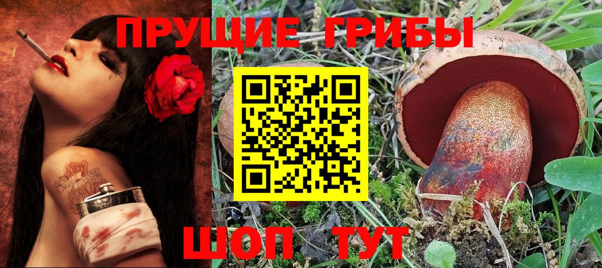 Галлюциногенные грибы Psilocybine cubensis  Вход с VPN  Псилоцибиновые грибы мухоморы  Бахчисарай 